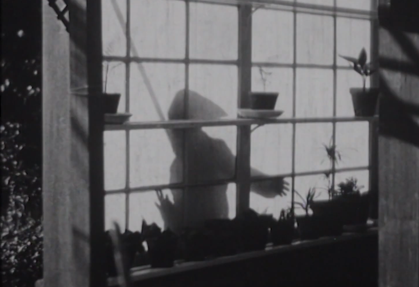 El ladrón de los guantes blancos (1926)