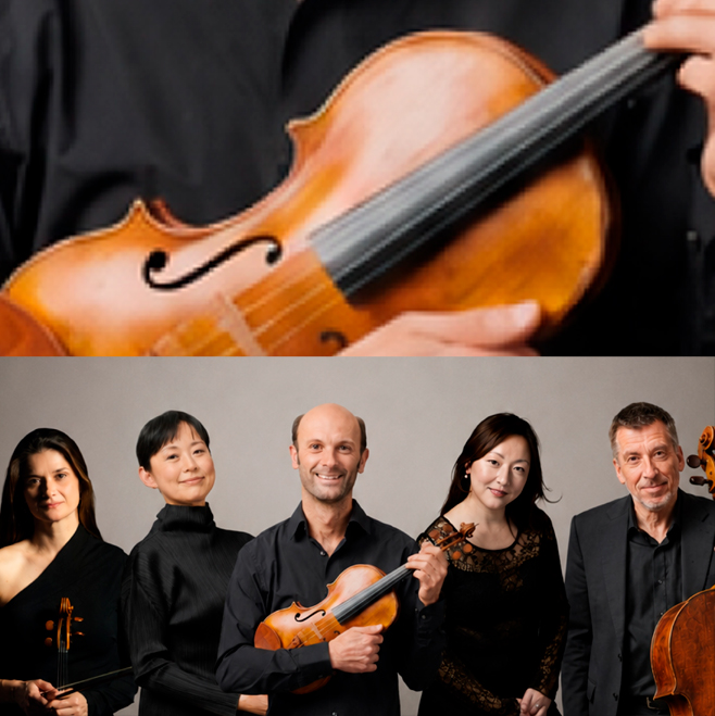 Viola FEST 2026 (clásica, en Auditorio de Tenerife Adán Martín)