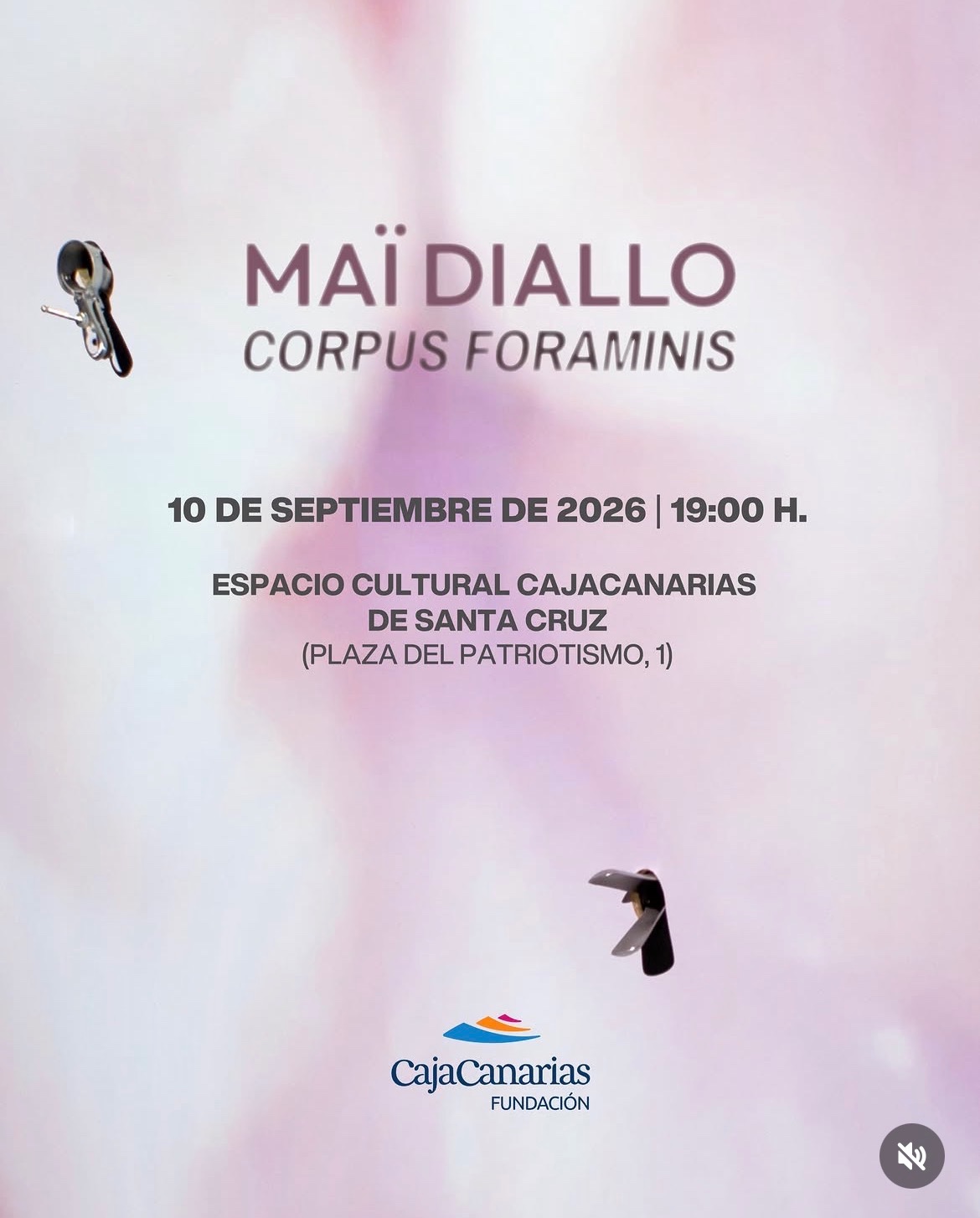 Corpus Foraminis