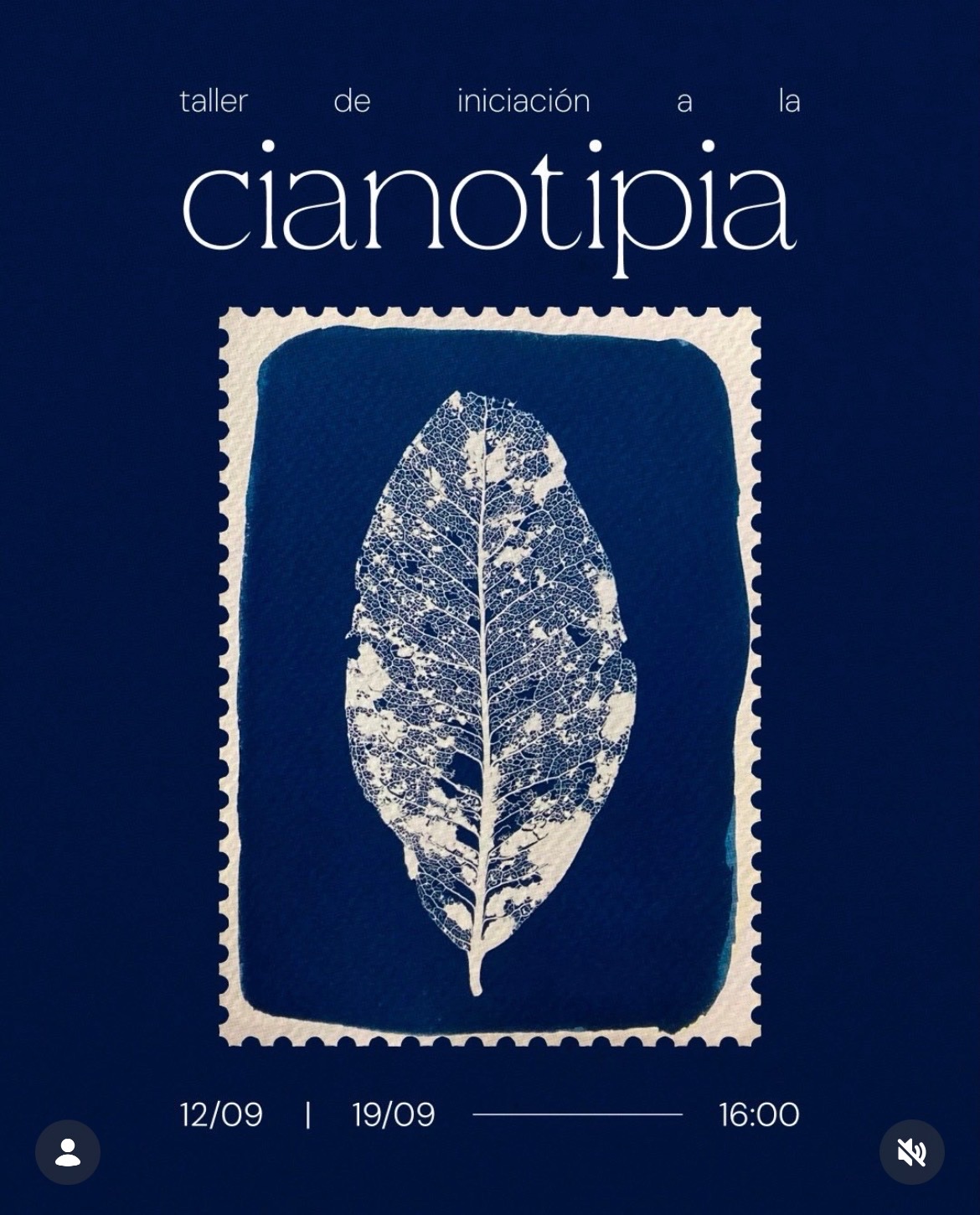 Taller de iniciación a la cianotipia